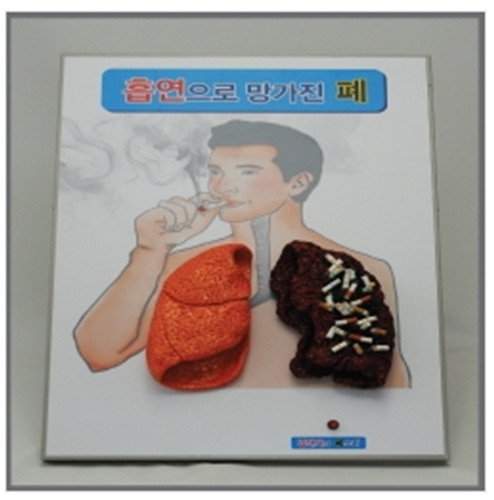 [HEC] 흡연으로 망가진 폐 kim3-440