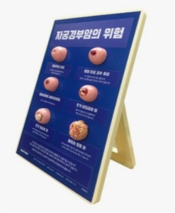 [Health Edco] 자궁경부모형 79733 (228*310mm) 자궁암모형
