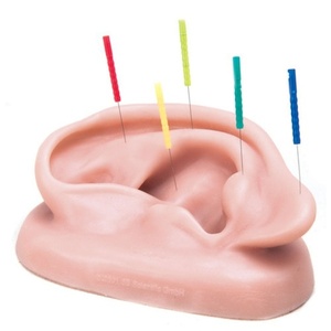 [3B] 왼쪽귀 침술 실습모형 N15/1L (Acupuncture Ear,left)