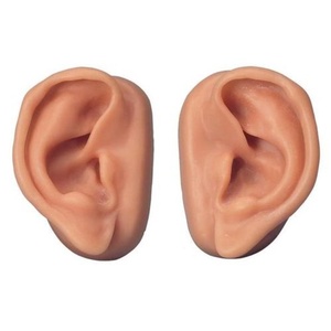 [3B] 침술실습 귀모형세트 N16 Acupuncture Ears Set for 10 Students