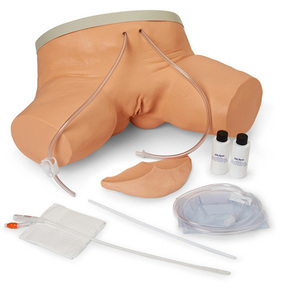 [나스코] 여성 도뇨실습모형/LF00856/도뇨모형/Female Catheterization Simulator