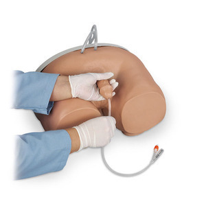 [나스코] 남성 도뇨실습모형/LF00855/Male Catheterization Simulator