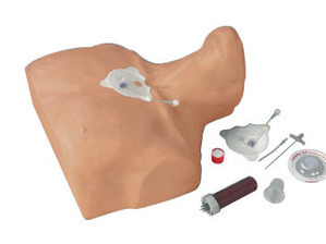 [나스코] 흉부골내주사 실습모형/LF04200/Adult Sternal Intraosseous Infusion Simulator