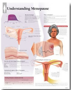 평면해부도(벽걸이)/5500/폐경기의 이해/Understanding Menopause/ Size 54cmⅹ74cm