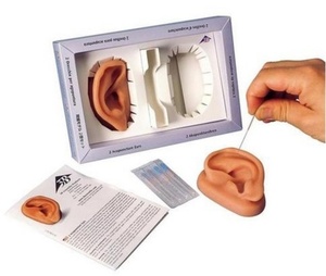 [3B] 귀침술 실습모형 N15 (Two Acupuncture Ears)