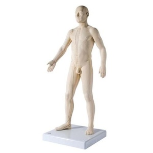 [3B] 전신경혈모형 N30 (남,72cm) 침술모형 Male Acupuncture Model