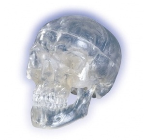 [3B] 3분리 투명 두개골모형 A20/T (Transparent Classic Human Skull Model)